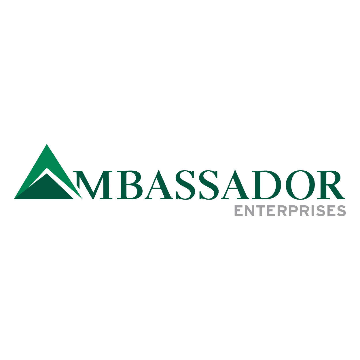 Ambassador